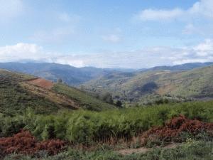 ocebeiro camino de santiago compostela