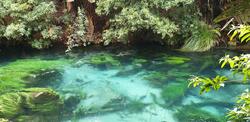 Blue springs