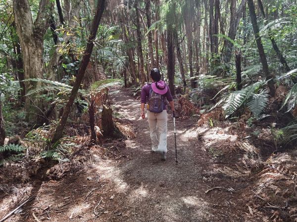  Puriri  Track