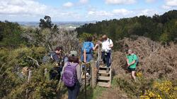 Mount William walkway