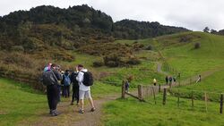 Mount William walkway