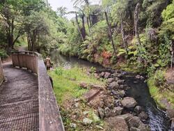 Oalley creek walkway