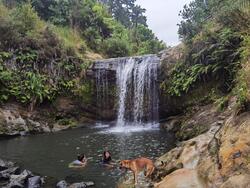 Oakley Creek waterval