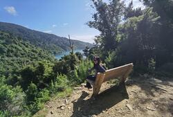 begint op de weg boven Mistletoe Bay en volgt oude ruiterpaden hoog boven het water. Het pad rond een duidelijk punt en daalt af naar de DOC-camping in Umungata (Davies Bay). Het laatste uur lopen is over een gemakkelijk pad door volgroeid beukenbos naar Anakiwa.