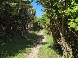 Queen charlotte track