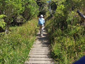 Queen charlotte track
