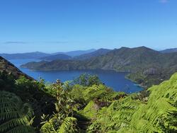 Queen charlotte track