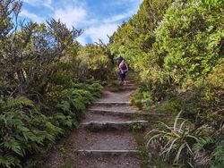 Taranaki beklimming