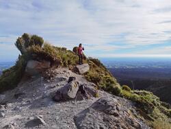 Taranaki trig