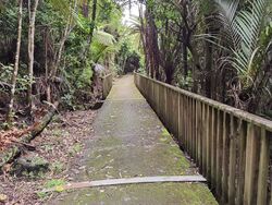 Titirangi walkway