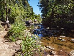 Wairere Falls 