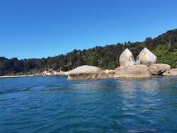 abel tasman track apple rock