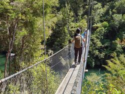 abel tasman track