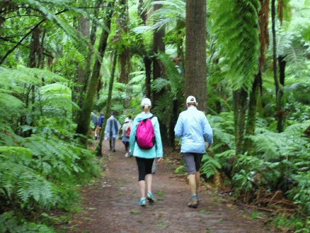 Redwood Rotorua