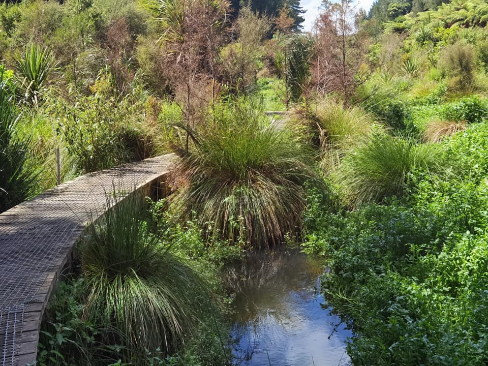 Tamahere park Hamilton