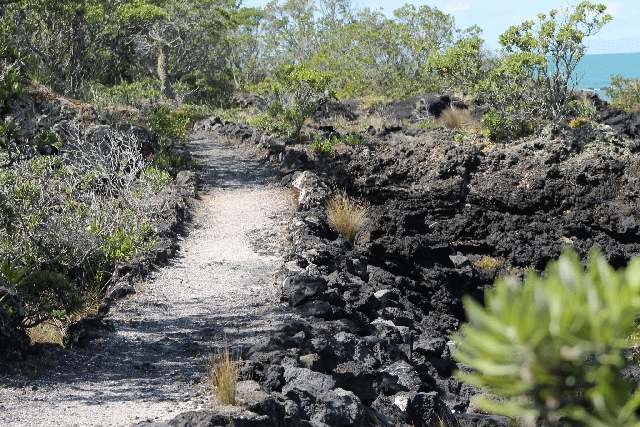 Auckland, Vulkaan eiland Rangitoto