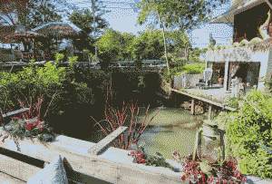 Jungle Moon resort