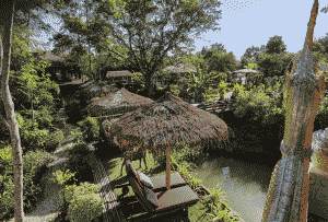 Jungle Moon Café 