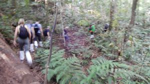 Khao Yai trail