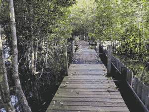 Ruksame Bridge