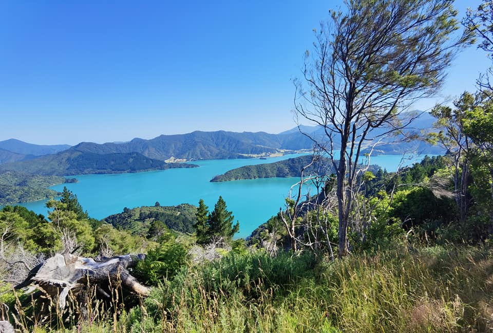 Hiking in Nieuw-Zeeland zolang ik daar ben met lockdown