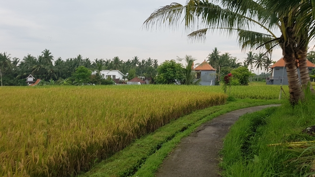 wandelreis-indonesie