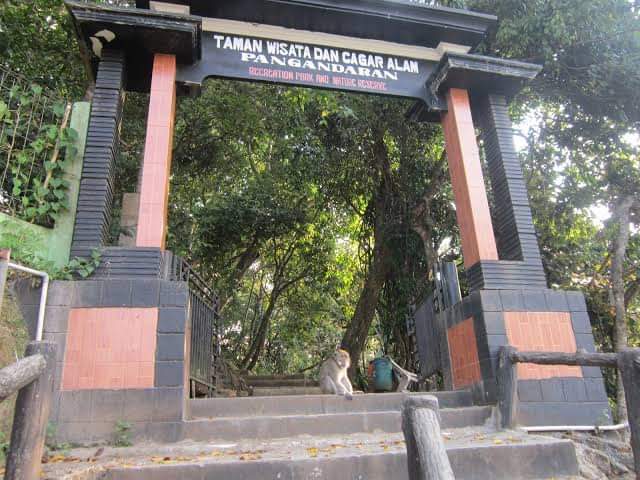 Afbeelding met buitenshuis, boom, kleding, persoonAutomatisch gegenereerde beschrijving