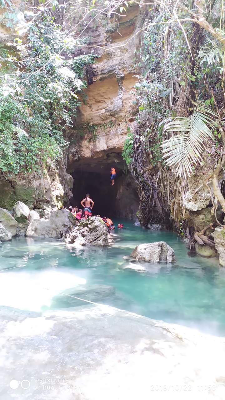 Afbeelding met zoogdier, buitenshuis, hemel, rendierAutomatisch gegenereerde beschrijving