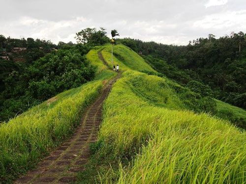 Campuhan Ridge Walk