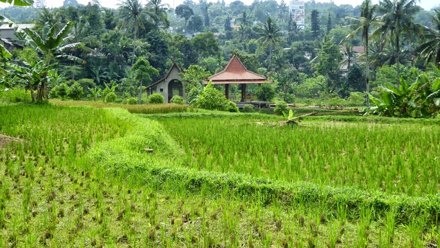 bali-het-eiland-van-de-goden-bali-indonesia