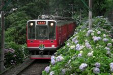 Hakona Tozan Trein