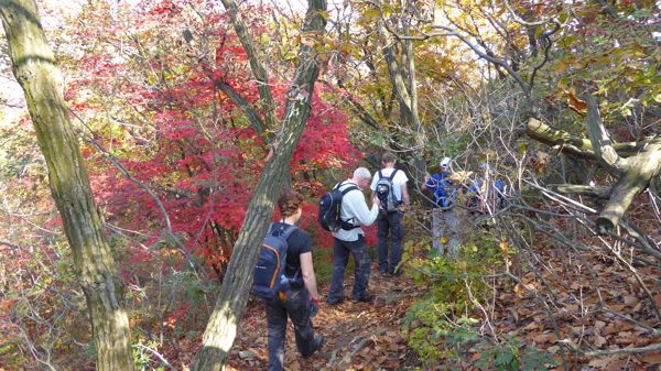 Wandelreis Korea