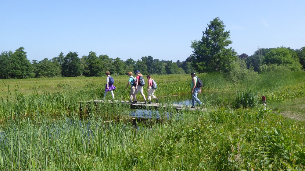 wandelen-bussum-zuid